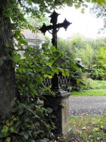 /album/krizek-ve-vsi/a2966182-krizek-v-obci-korenjpg-1-620x0p0-jpeg/