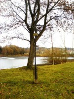 /album/kovany-kriz-/dsc02632-jpg1/