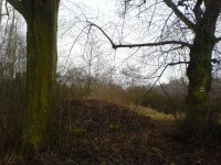 /album/kaplicka-/dsc02784-jpg/