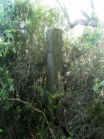 /album/kriz5/chodsky-ujezd-8007-jpg/